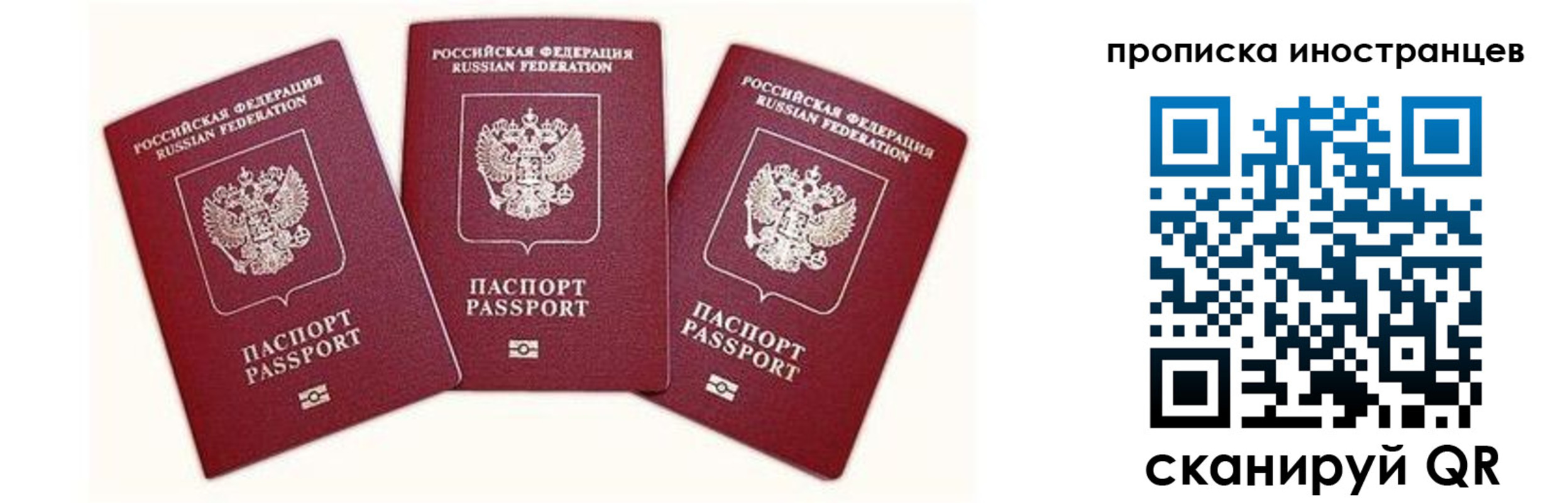 прописка в Шатуре
